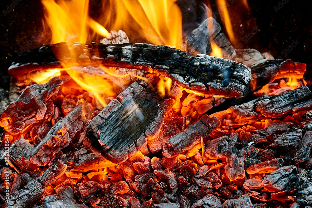 Fun Fact: Imagine whisky with oak smoke instead of peat—milder, sweeter, and woody! Some distilleries experiment with wood smoke, but nothing matches the iconic smoky taste of peat. 🌳🔥🥃

#WeHaveCasks @ whiskeesnfts.com