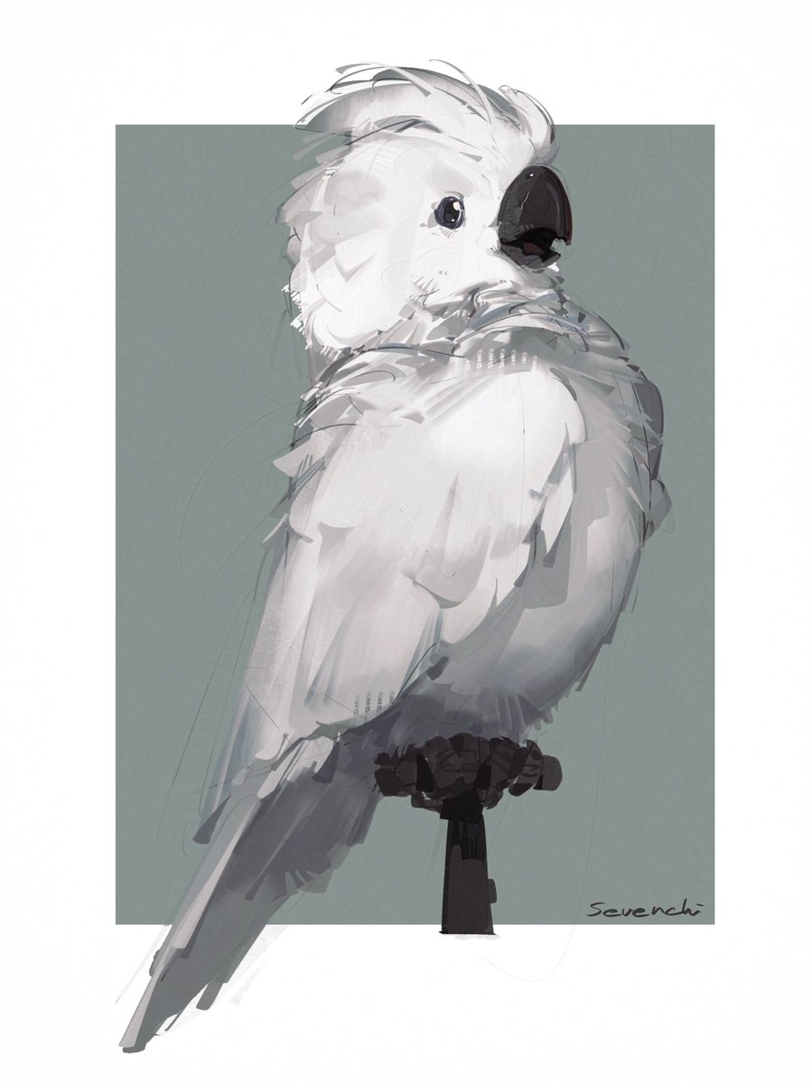 Bird 🐦