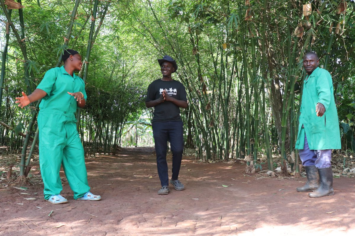 Trinity Forestry Services Ltd (@forestrytrinity) on Twitter photo Good morning Uganda!!!, Trinity Forestry Services Ltd <a href="/ForestryTrinity/">Trinity Forestry Services Ltd</a> invites you to use our services in Tree planting, Seedlings and other Forest contracting services.
#Conservation
#TreePlantation
#Forestry Good morning Uganda!!!, Trinity Forestry Services Ltd <a href="/ForestryTrinity/">Trinity Forestry Services Ltd</a> invites you to use our services in Tree planting, Seedlings and other Forest contracting services.
#Conservation
#TreePlantation
#Forestry