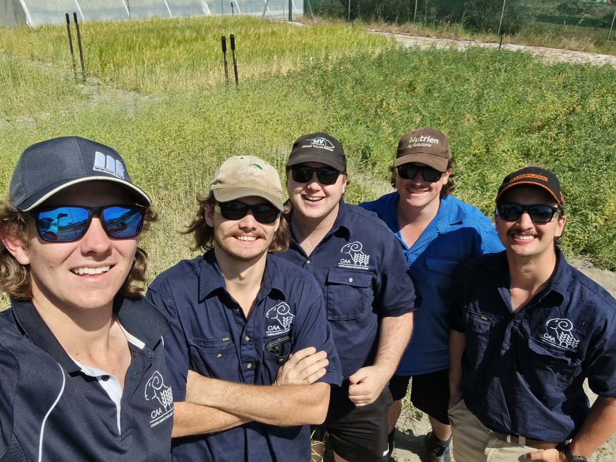 Last week we wrapped up our trial by harvesting our canola. Data on NDVI, growth stages, pods per metre and average seeds per pod were collected. Although the canola wasn't fully mature we can use the data collected to create estimates on final plant production. #ilovecanola