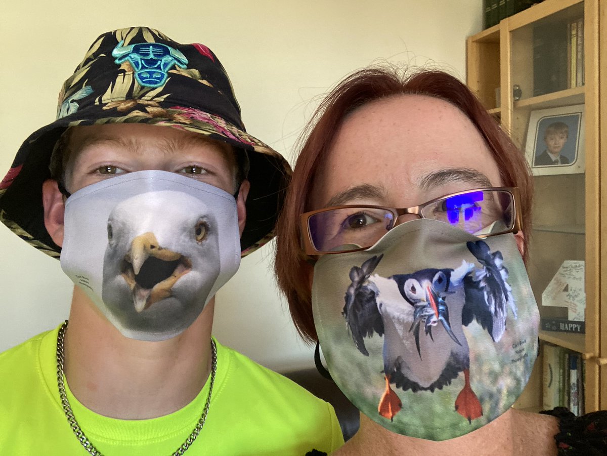 beckychicks's tweet photo. @CarlBovisNature Hello 👋 https://t.co/fThDOW1Yst