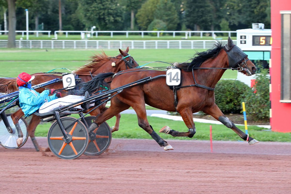 ⭐️UN AMOUR D’HAUFOR⭐️

🥇 King Evolution s’impose samedi à Enghien !

👏🏼 J.Herard / E.Raffin / D.Dumont

#Unamourdhaufor

📸 Scoopdyga