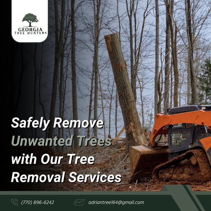 HuntersTre76383's tweet photo. Georgia Tree Hunters LLC offers professional tree removal services, ensuring safety and enhancing your property's appearance. Trust our experts to handle even the most challenging removals. #TreeRemoval #SafeTreeCare #GeorgiaTreeHunters
https://t.co/7Wl6JznnfU https://t.co/RdQAgZLma3