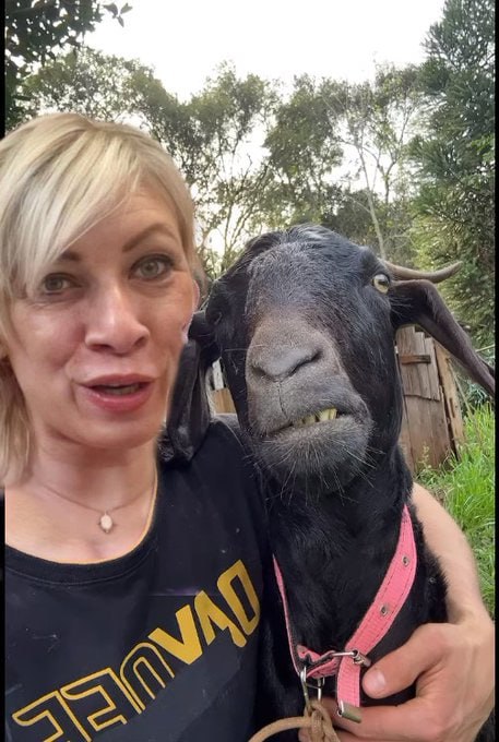 Stoport's tweet image. Сёстры