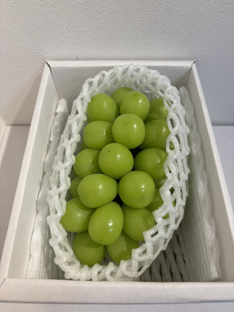 【プレゼント企画第4弾】

今回は「シャインマスカット1房」を5名様にプレゼント🎁

［条件］
①「王将果樹園中の人」のXをフォロー
②このポストをリポスト

応募期限:10月5日〆切

応募も増えて景品も豪華になりますよ！

#王将果樹園 #王将果樹園の中の人 #プレゼント企画