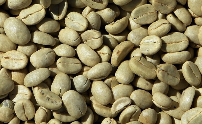 완전 뒷북이지만 꽃도 꽃인데 연두.. 연한 풀색... 아무튼 이 색은 커피 생두에서 따온 걸지도
트윗 날자를 보니 진짜 완전 뒷북이군요.
물론 에겨스님이 커피꽃 요뎡설에는 변함이 없지만...! <-