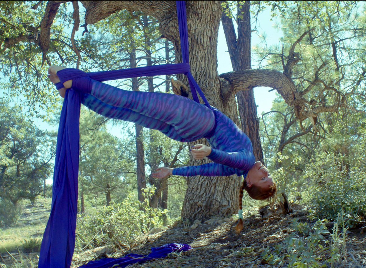 Amanda_R_Rose's tweet photo. ✨Be free✨ 
#art #trending #freedom #circus #aerialist #aerialsilks #trees #nature #natureX #X #fitness https://t.co/VP4Ssrllox