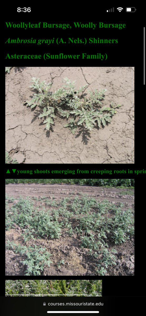 Matthew McMillen tweet media