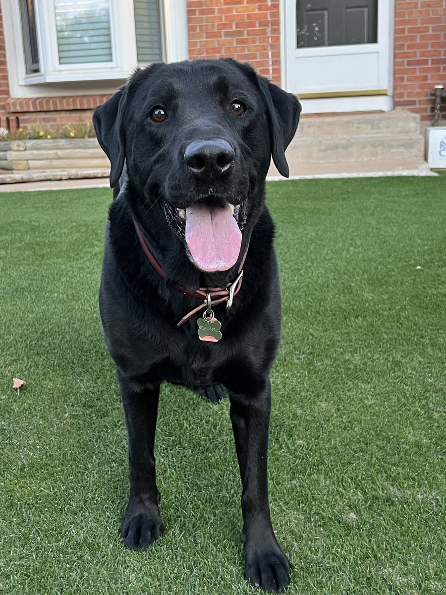 Jeff Bailey (@beetbailey) on Twitter photo 