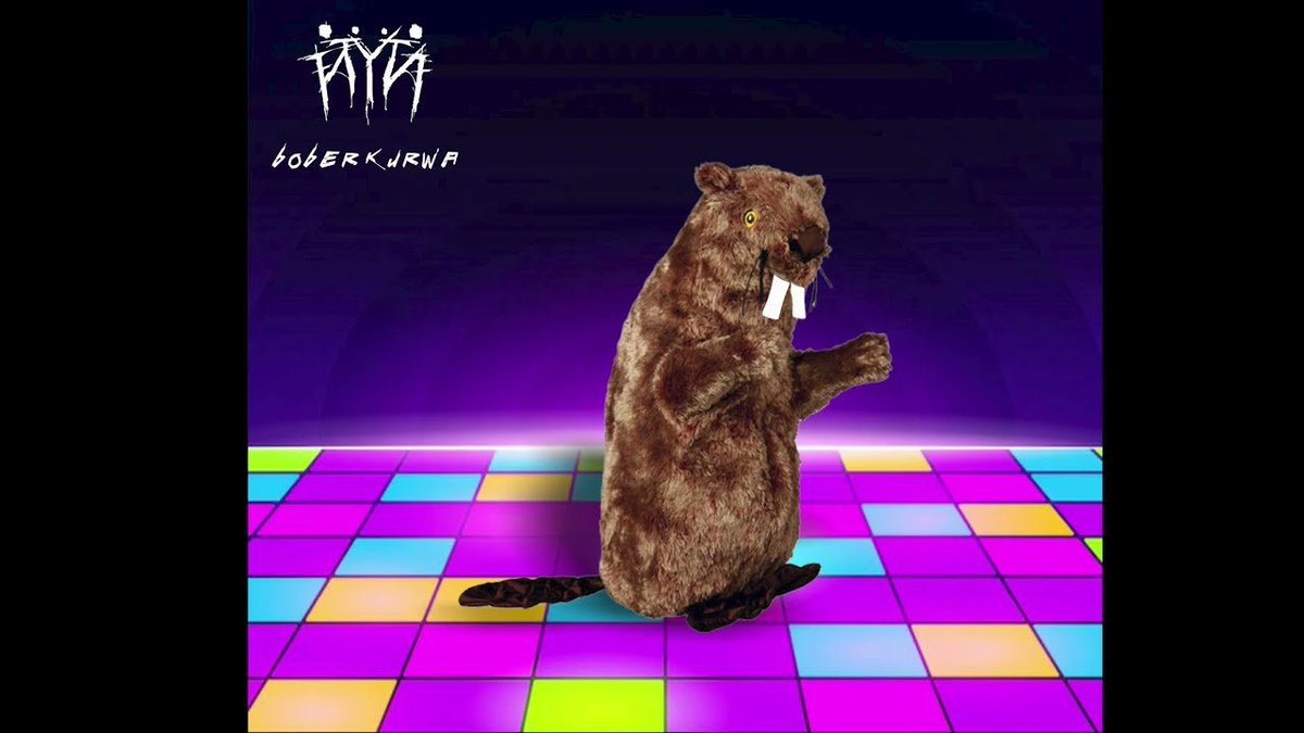 <a href="/CNcryptoBob/">ChineseCryptoBob</a> $BOBR on Solana

Real CTO, no KOLS, 100% Community!

<a href="/bobrCTO/">Kurwa Bóbr</a> 
t.me/bobrportal