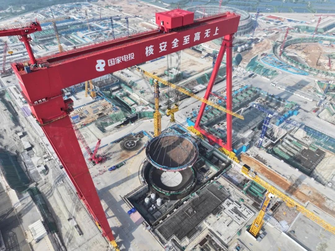 Mark Nelson tweet media