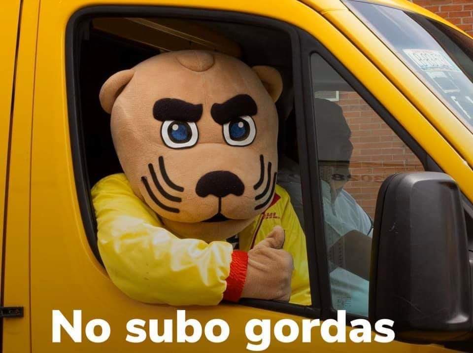 <a href="/PumasMX/">PUMAS</a> <a href="/Telcel/">Telcel</a> De Lema por un día porque ganó contra 12. A mamarla.