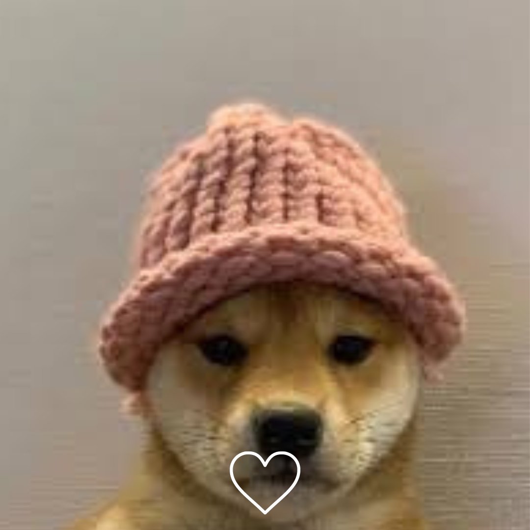 Choose your favorite memecoin for the bull run. 🔥

$PEPE or $WIF?