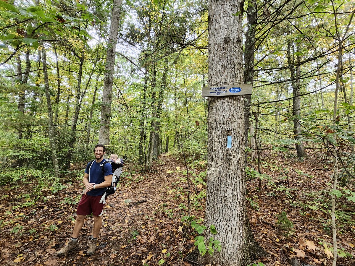 Novogasaurus's tweet photo. A light rain didn't stop us from a 6 mile 🥾 hike along the Blue Trail at Cockaponset State Forest. Nick Coco and I enjoyed a touch of fall as the leaves 🍂 just started changing colors. His little guy, Gus 👶, may have had the most fun exploring the outdoors!  #CTStateParks https://t.co/gyEwTgHD7V