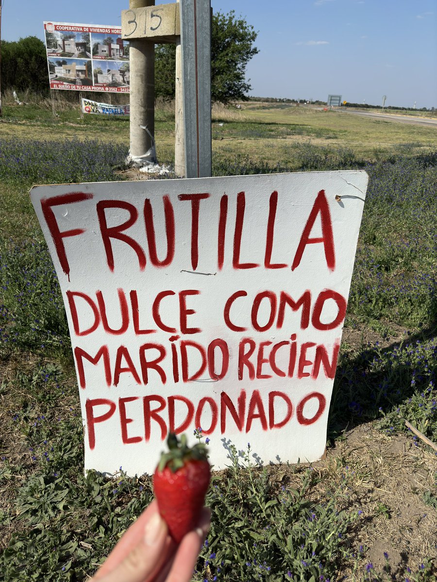 Argentina, mi país.