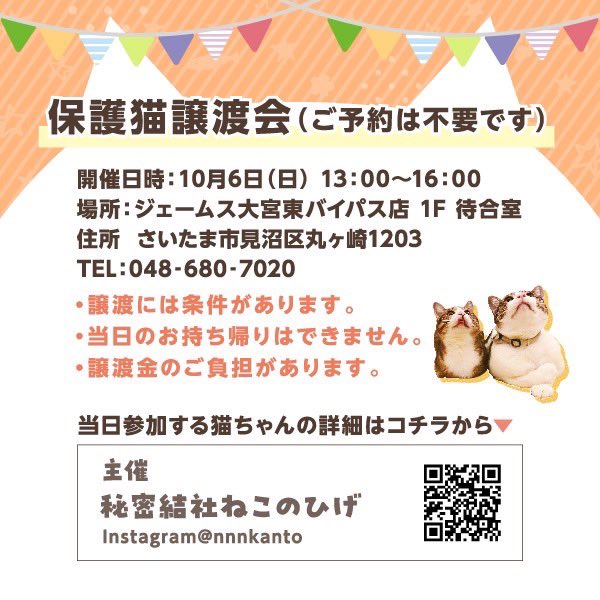 chotocha's tweet photo. 🚗ジェームス保護猫譲渡会応援キャンペーン🐈

この度、譲渡会の場所を提供してくださっているジェームス様が譲渡会に合わせての素敵なキャンペーン👏✨

ジェームス様の公式X(旧Twitter)をフォロー&amp;リポストすると抽選で12名様に#ミャウエバー#本物みたいな猫クッション　が当たります🐱
ご参加下さい https://t.co/fqqNWsdRwP