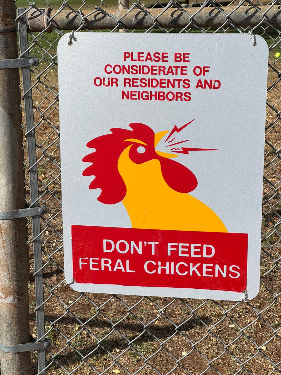 do not feed the bickens 😔