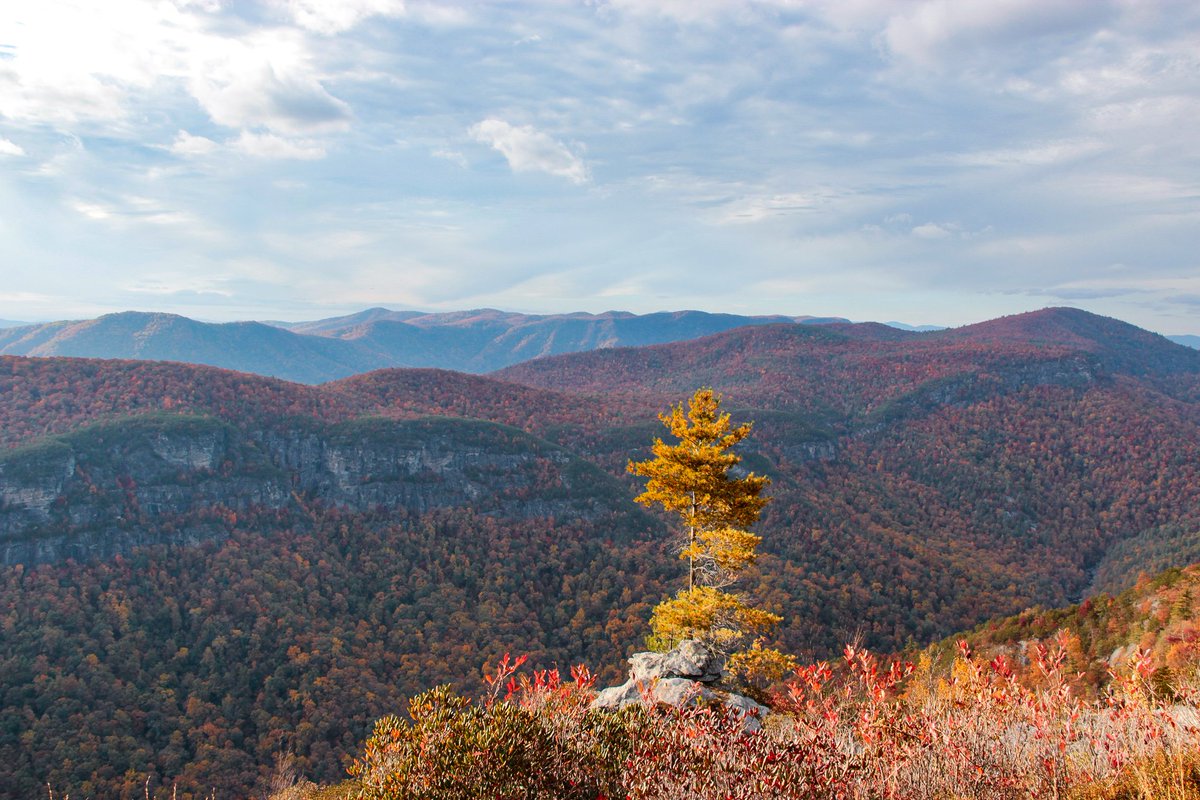 You've seen a lot of the devastation around Asheville this weekend.

I just want to share some photos I took during a yet-to-be-published reporting project in Western North Carolina last year.  

Appalachia is too beautiful for us to give up. We must help our neighbors rebuild.