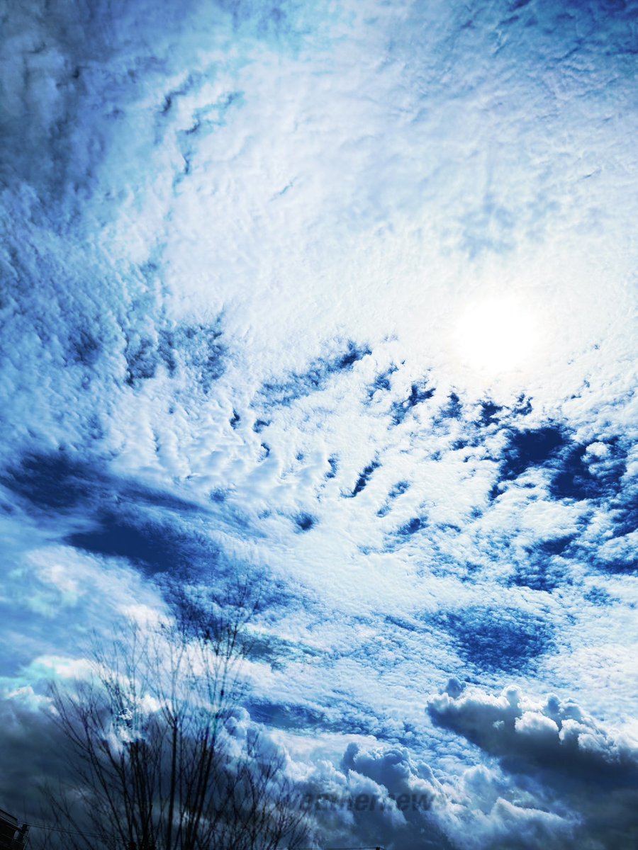 ひとりに戻ってゆく
とけこむように
時の畝りの中へ
共有したはずの
怒りと歓喜は
とうに消え
静かだ

線状の記憶は曖昧で
明日を読みとれない
きっと九月の仕業だから
しょうがない
私の秋は
懐かしいまま
きみの秋は
私を残したままに