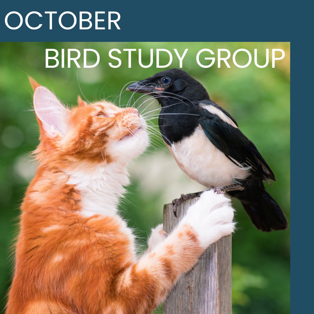 Join us on October 2nd at 7:30pm for our next Bird Study Group. Veterinary Doctor Judit E.G. Smits will share a presentation on the impacts of outdoor cats on wildlife. Click the link in our bio for more info.