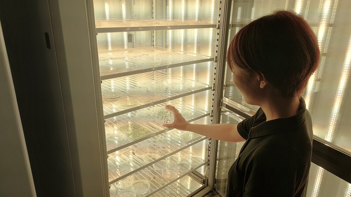 名古屋大学｜Nagoya Univ. tweet media