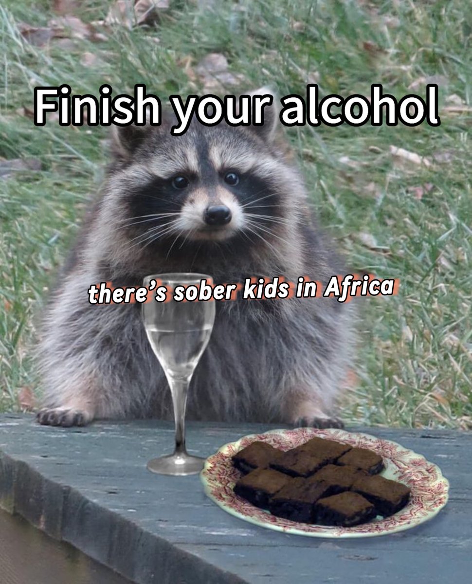 raccoon aesthetic. tweet media