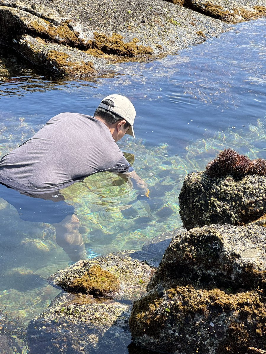 nzvision's tweet image. #텀브레이크 #성게
텀 브레이크 첫날!
문어 잡으러 갔다가 구경도 못하고 성게만 잡은 날!!!
그래도 우리 친구들은 행복해하네. ^^
저녁은 우니 초밥🍣😋