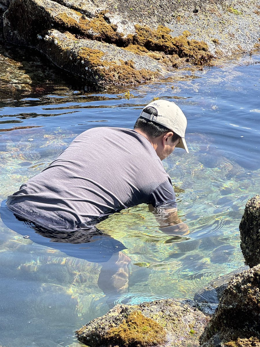 nzvision's tweet image. #텀브레이크 #성게
텀 브레이크 첫날!
문어 잡으러 갔다가 구경도 못하고 성게만 잡은 날!!!
그래도 우리 친구들은 행복해하네. ^^
저녁은 우니 초밥🍣😋