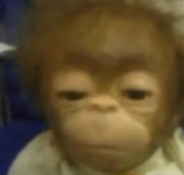 En busca de nombre🔴⚪️ 🏆 tweet media