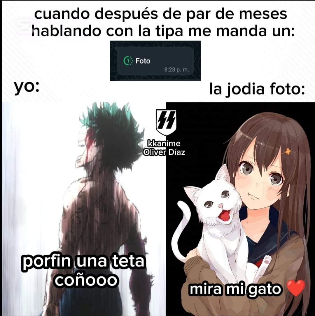 Abellcymeg's tweet image. 