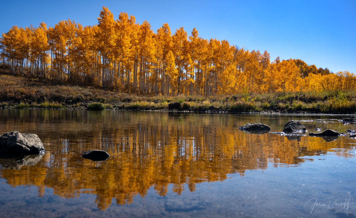When the orange of aspens reflects in the morning sun. #cowx #wxtwitter <a href="/stormhour/">#StormHour</a>