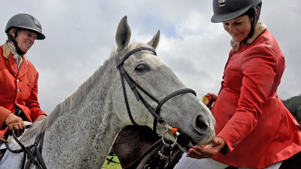 Balt Sun Visuals tweet media