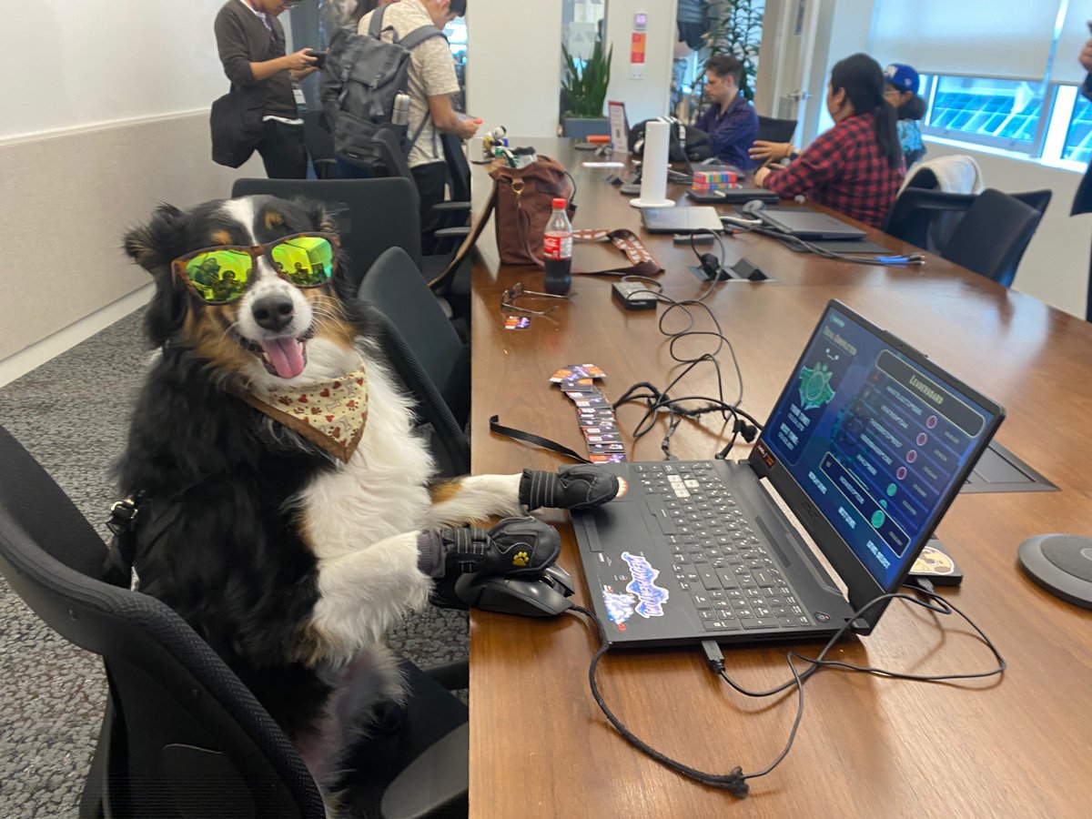 Before playing Meowmentum 🐱... After crushing the global leaderboards! 🏆😎

Who’s ready to top this? 🎮

Shout-out to Sydney the dog for giving Meowmentum a try at XP Indie Biz Connect!
#Meowmentum #IndieGame #GameDev #LeaderboardChallenge