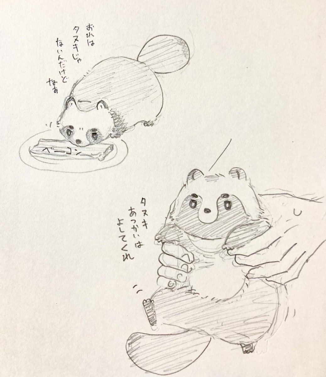 タヌキだね 