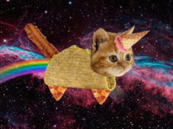 anonchain's tweet photo. And now the real fun begins! 

Bacon. Taco. Cat. 

Revolutionary Tech. 

This is financial advice. 

🥓🌮😹

7J3FRKz5PSzQS1uUBATgBY6qtfNwBQwyRmZZFC7Tpump https://t.co/78zvqx38pk