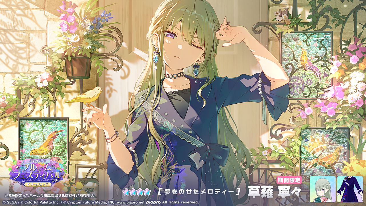 Machico Official on X: 