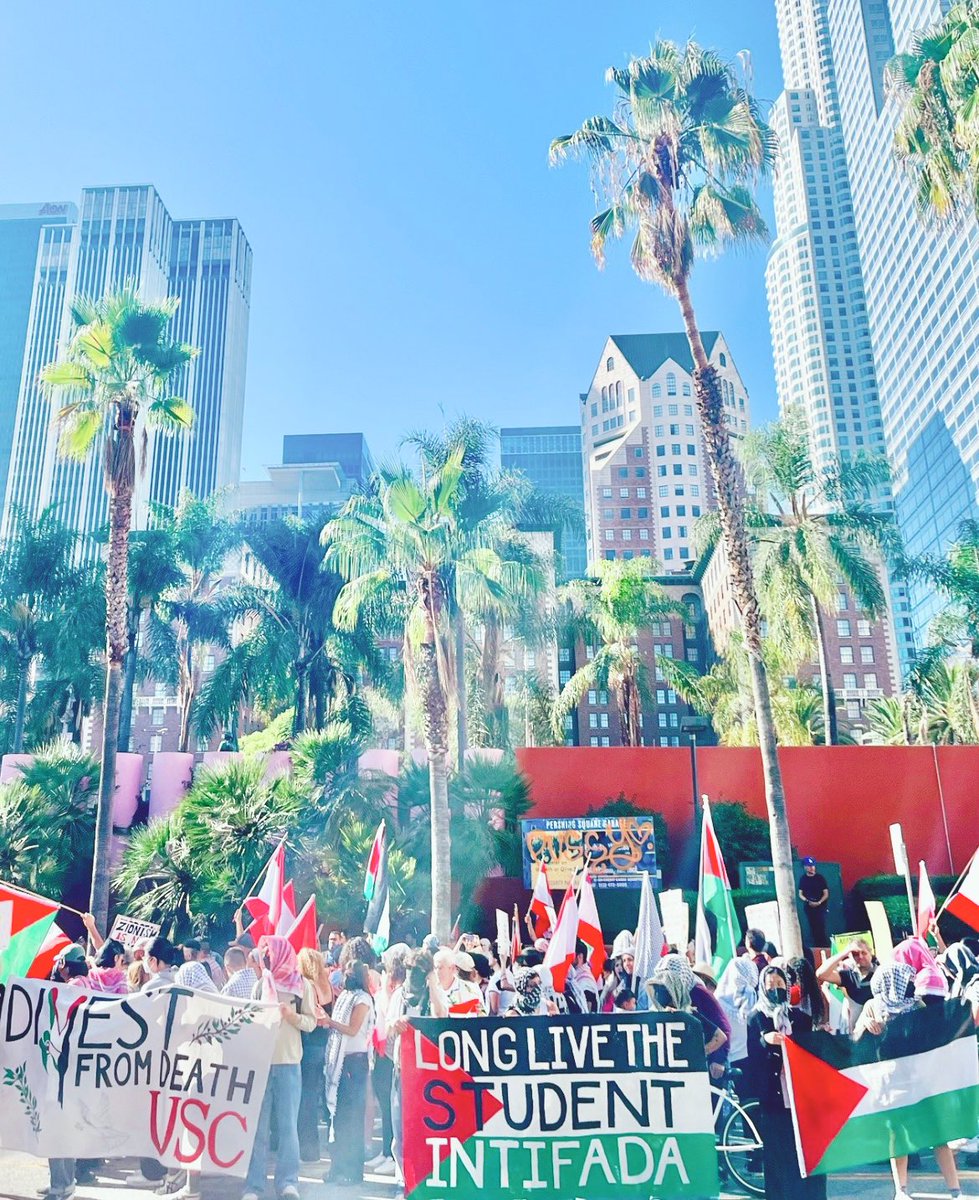 blueaviankat's tweet photo. Free Palestine! Hands off Lebanon! Collective liberation! 🇵🇸✨🫀🇱🇧🙏🏻🕊️ https://t.co/2wnMpHv2M3
