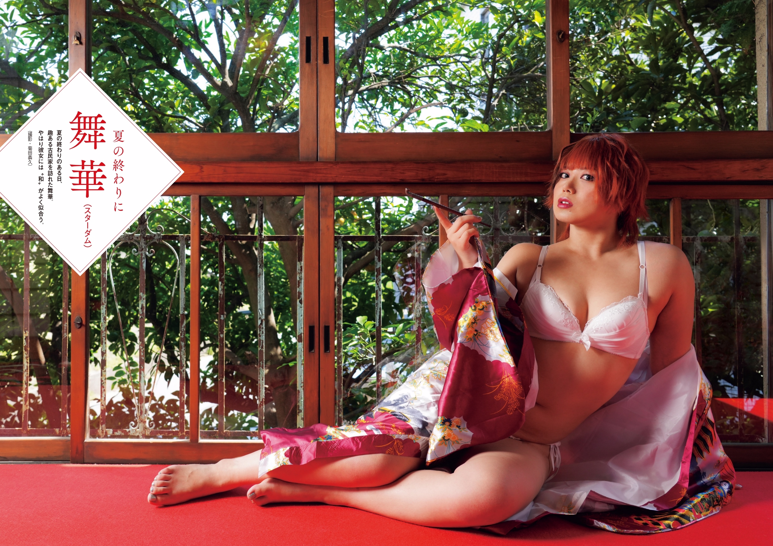 Amazon.co.jp: STARDOM 舞華 写真集 : Health & Personal Care