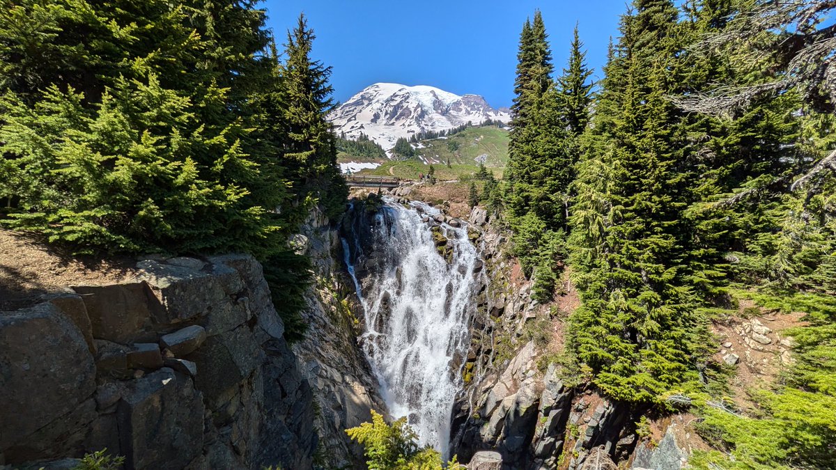 BaffledLemur's tweet photo. I promise I still use this app 😭 

A lot has happened though! Spent the summer out in Seattle as an intern 🥳 https://t.co/qWxAczvmXU