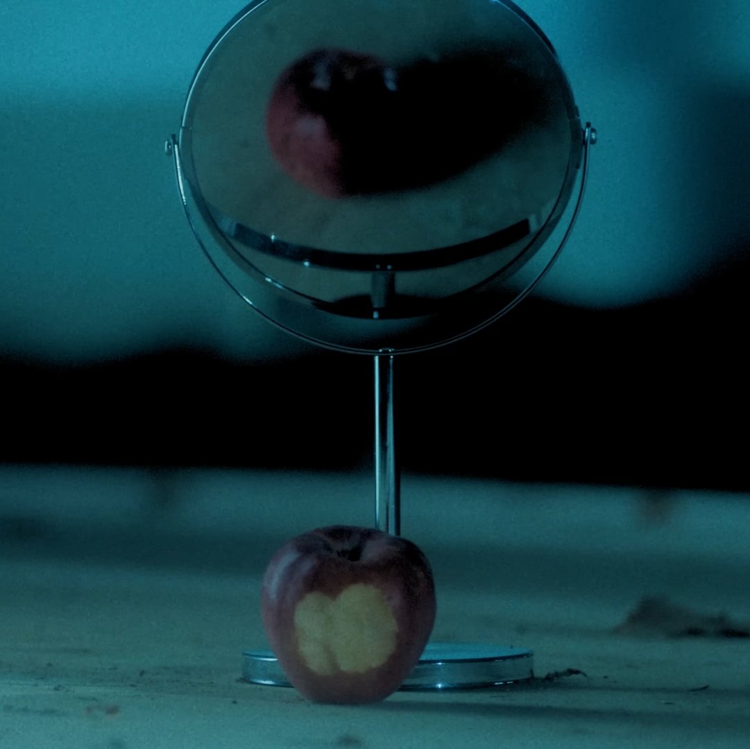 흠... 현실 시점에서는 한 입 베어 문 사과인데
거울 시점에서는 깨끗한 사과로 보인다...
먼가 이게 중요할거같은 너낌이랄까...