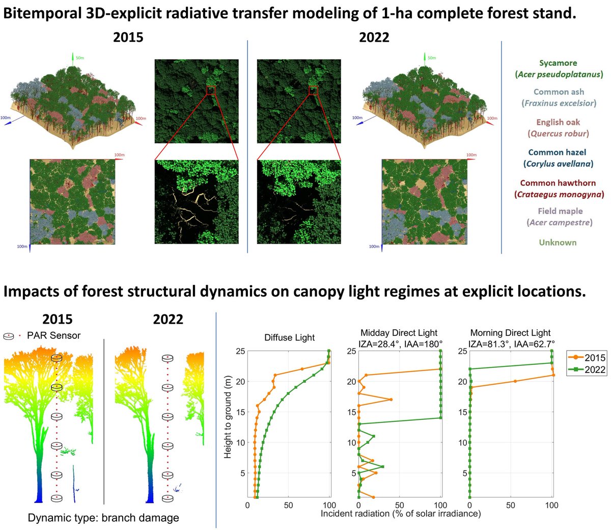 Chang Liu (@chang_liu_rtm) on Twitter photo Our new paper <a href="/kimcalders/">Kim Calders</a> <a href="/Hans1Verbeeck/">Hans Verbeeck</a> <a href="/LouiseTerrynn/">Louise Terryn</a> <a href="/Q_ForestLab/">Q-ForestLab</a> on the bitemporal 3D-explicit radiative transfer modeling of complete forest stand, and the impact of of forest structural dynamics on canopy light regimes.
Full paper: bit.ly/3N6WoKM Our new paper <a href="/kimcalders/">Kim Calders</a> <a href="/Hans1Verbeeck/">Hans Verbeeck</a> <a href="/LouiseTerrynn/">Louise Terryn</a> <a href="/Q_ForestLab/">Q-ForestLab</a> on the bitemporal 3D-explicit radiative transfer modeling of complete forest stand, and the impact of of forest structural dynamics on canopy light regimes.
Full paper: bit.ly/3N6WoKM