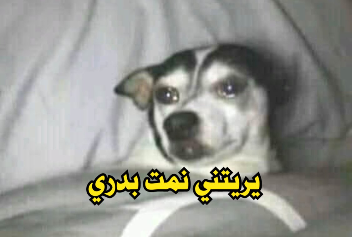 انا كل يوم الصبح والمنبه بيرن: