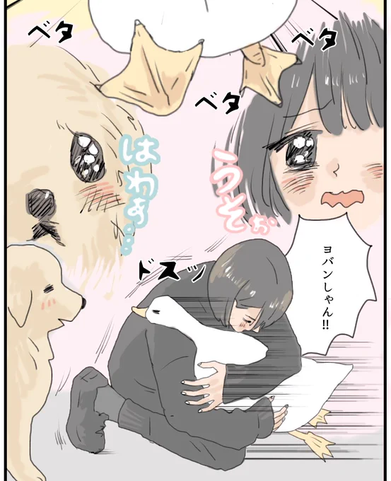 ヨバンしゃんは可愛いあひるしゃん 