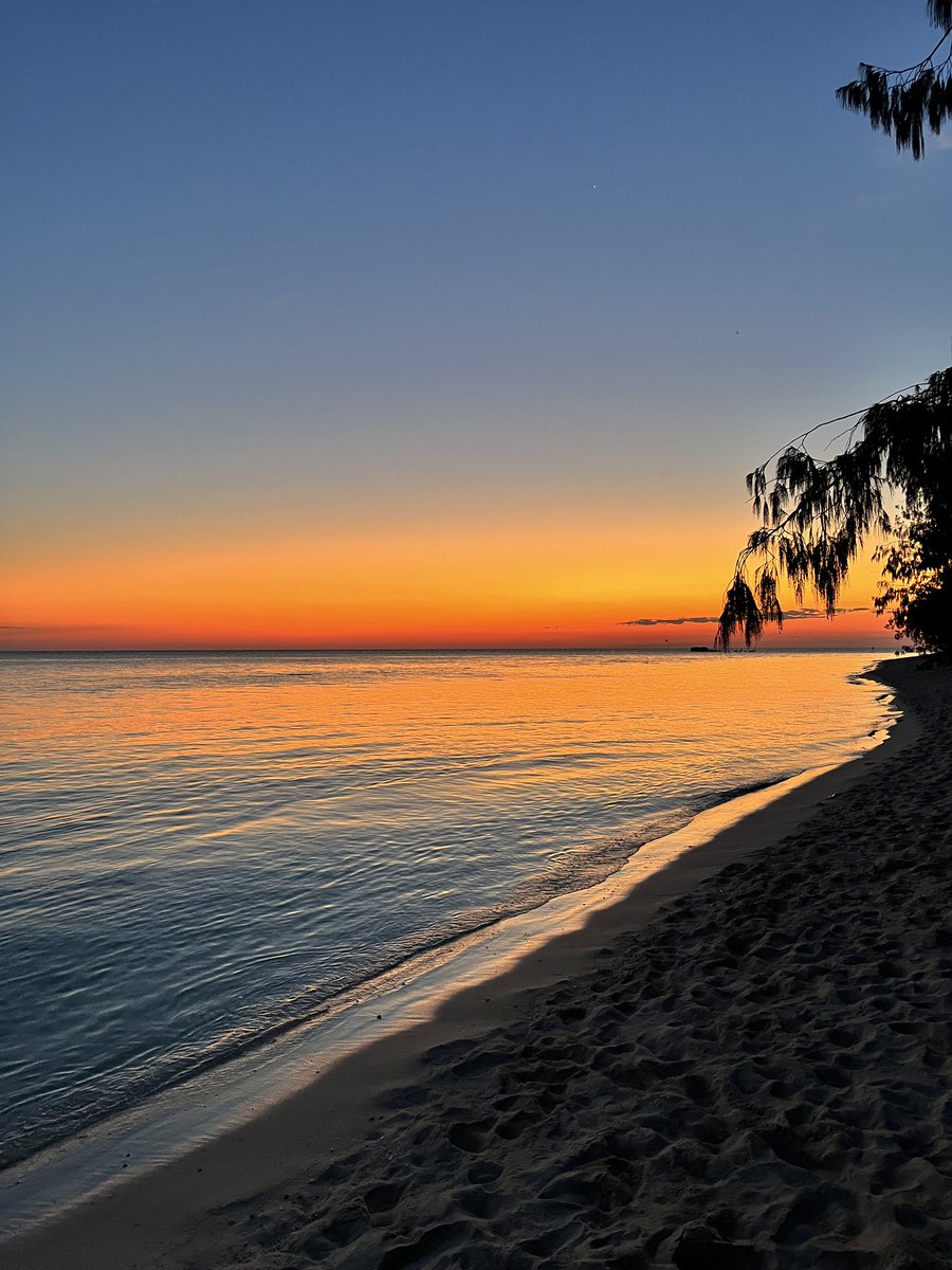 DilerniaNikki's tweet photo. Just wrapped up a super intense week @HIRS_UQ setting up my final PhD field study 🪸 sleepless nights filled with respirometry incubations all made worth it to witness those Heron sunsets ☀️ BIG thanks to @run4coral @GemmaGillette ✨ watch this space! 👀📉 https://t.co/t48175cEVM