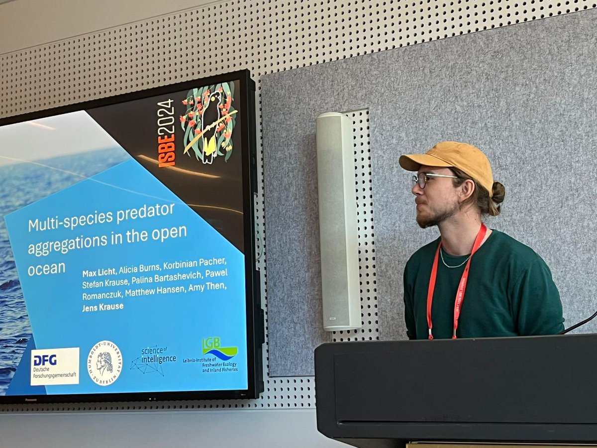 Max Licht tweet media