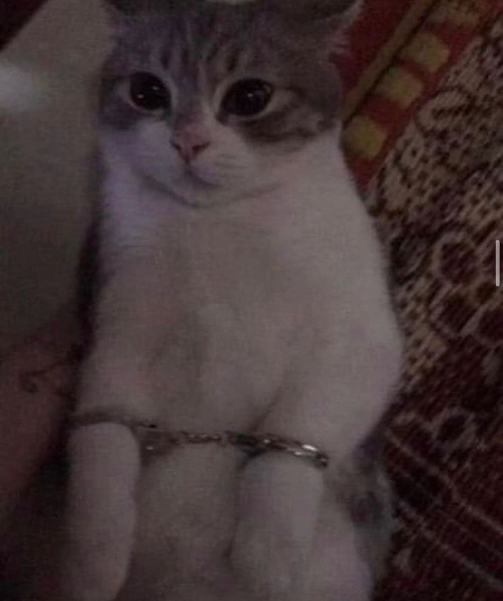 arrested for being silly