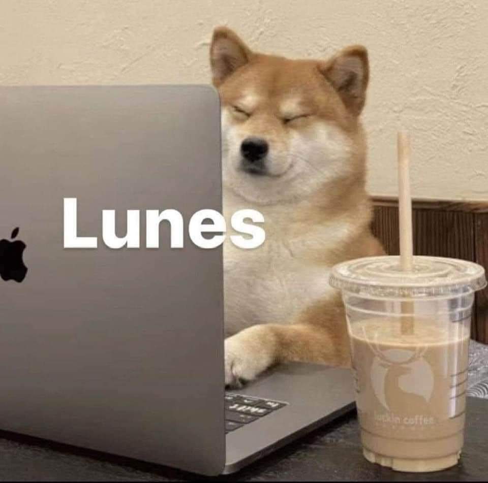 En Júpiter (@en_jupiter_) on Twitter photo 