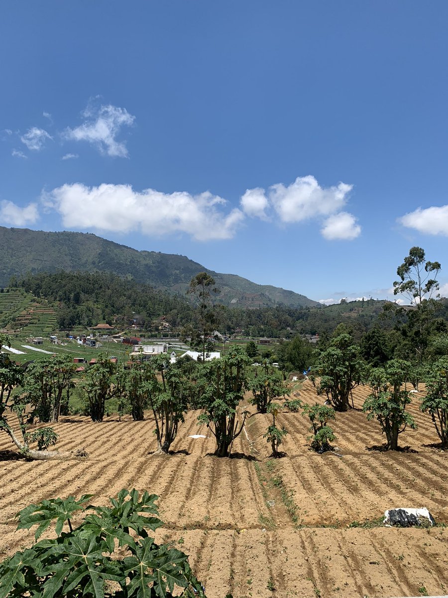 reztyci's tweet photo. Dieng Kulon https://t.co/8oSeg0uT36
