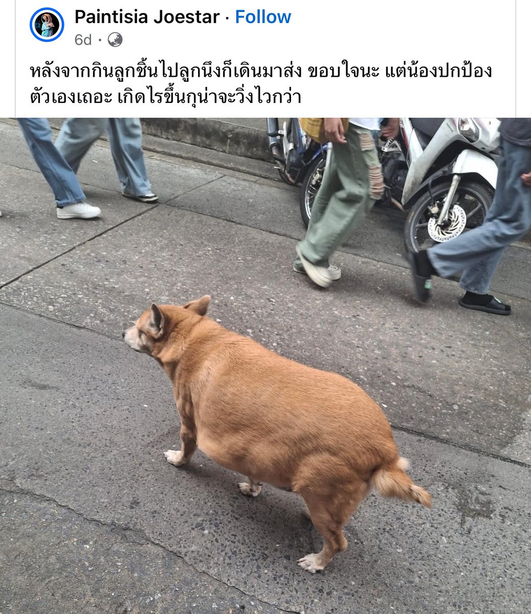 unknow tweet media