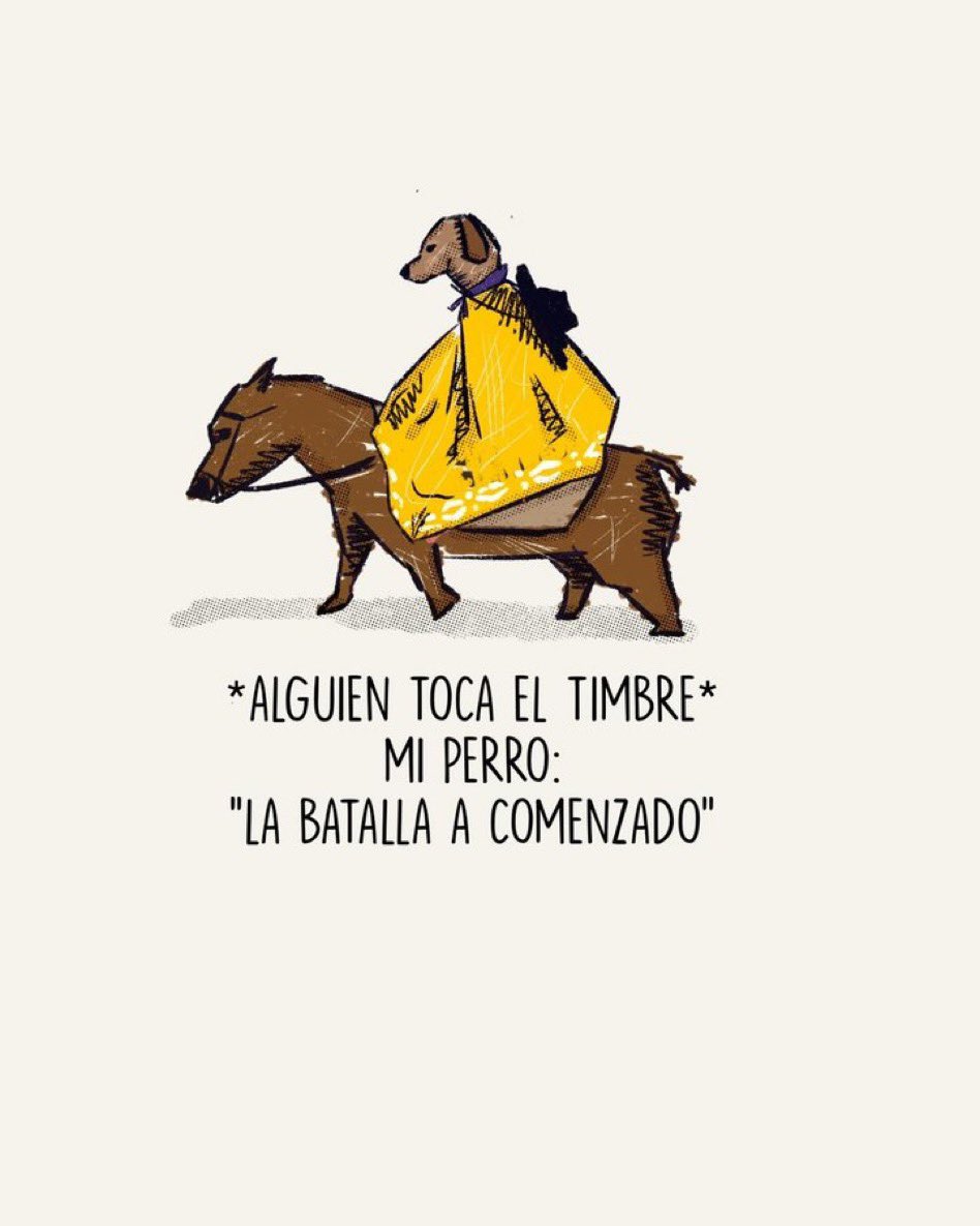 Por mi honor y el de mis humanos ⚔️🐶